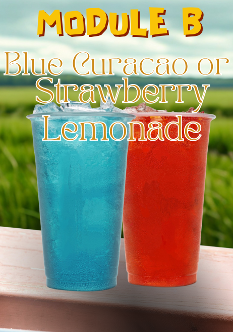 Module B- Energy Lemonades
