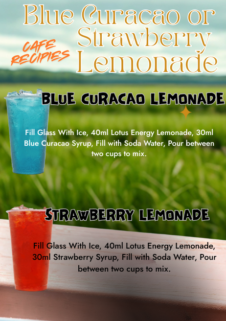 Module B- Energy Lemonades- Make Sheet