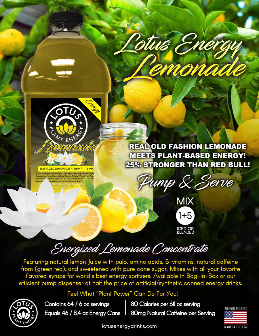 Flyer Energy Lemonade