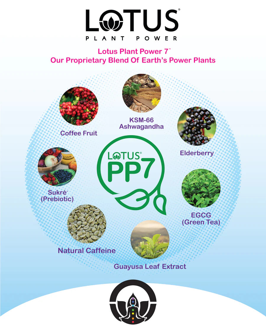 Point of Sale - Power Plant 7