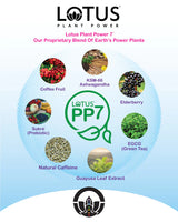 Point of Sale - Power Plant 7